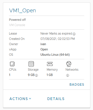 VMware VM