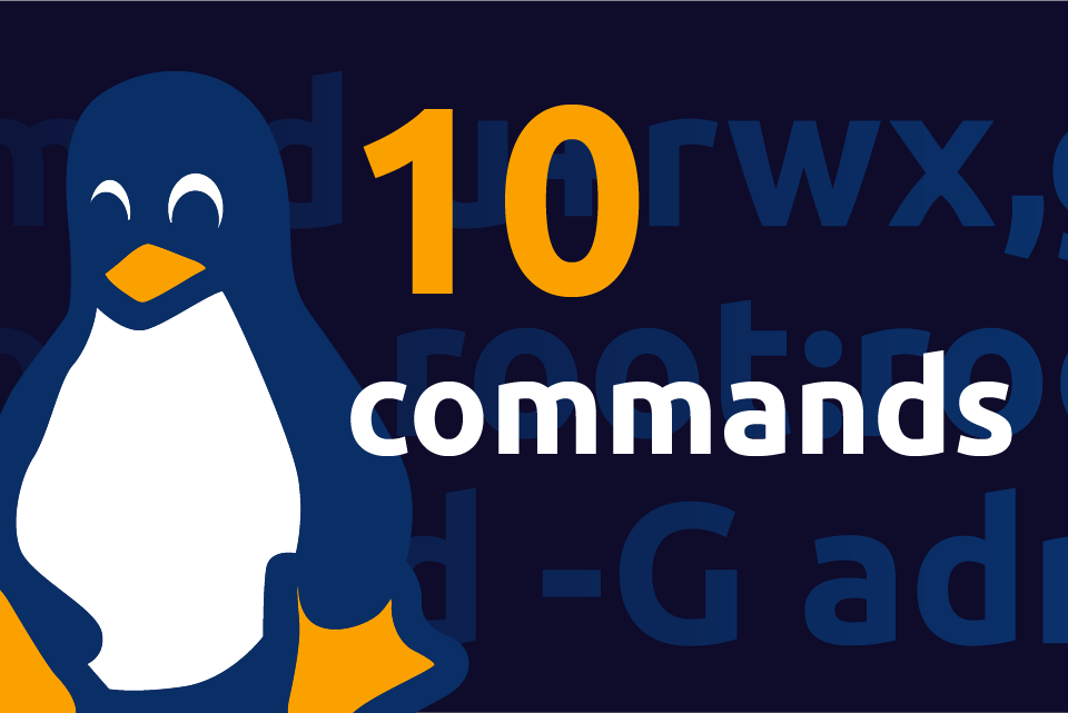 10 команд Linux для начинающих