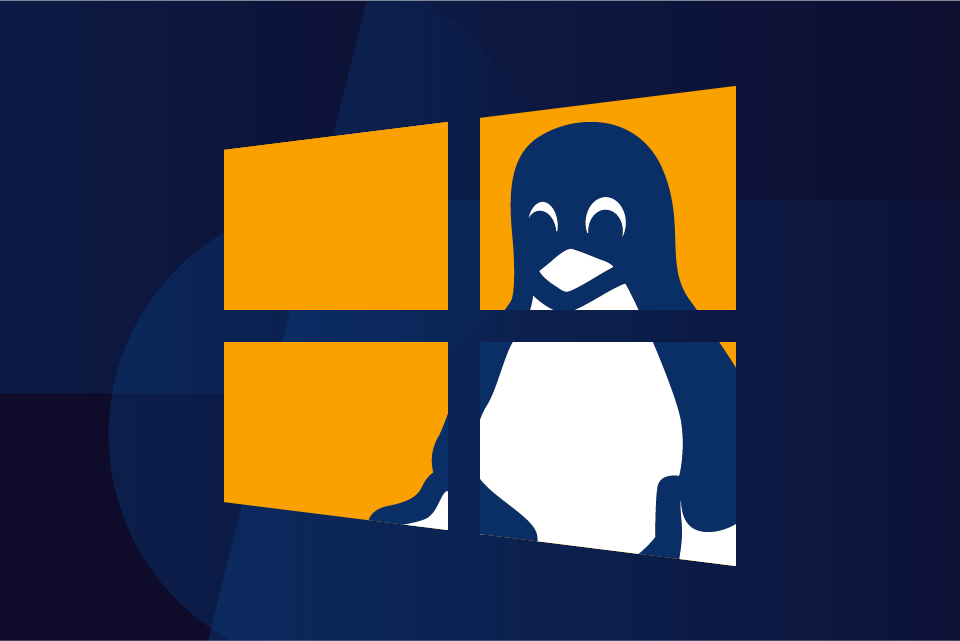 Linux внутри Windows 10 без виртуализации и контейнеров