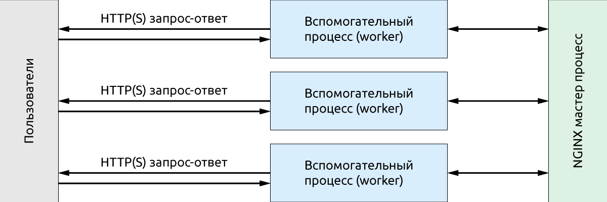 Схема работы процессов NGINX