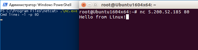 Hello from Linux!