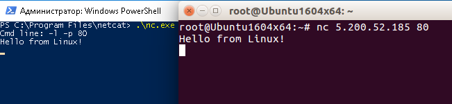 Hello from Linux!