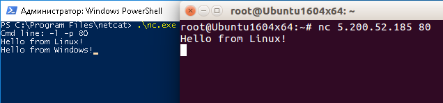 Hello from Linux! Hello from Windows!