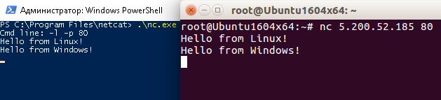 Hello from Linux! Hello from Windows!